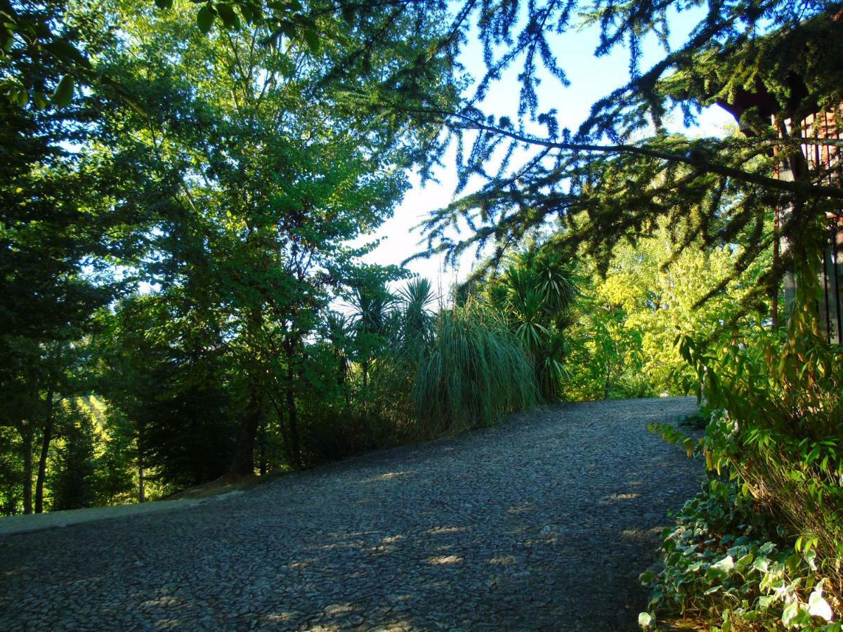Quinta Da Chouza Agroturismo E Enoturismo Celorico De Basto Exterior photo